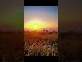 #darshpawar #travelvlog #travelphotography #explore #naturelover