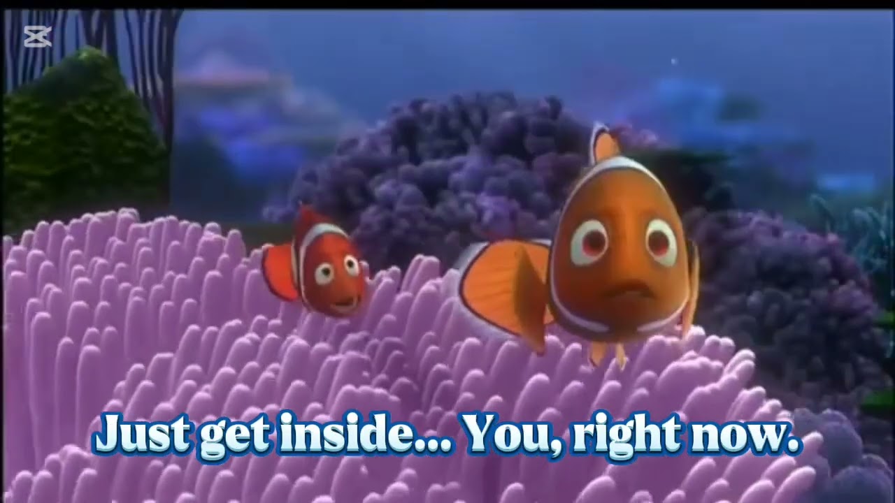 Finding Nemo: Barracuda Attack.