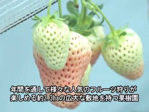 うきは果樹の村 やまんどんの紹介動画サムネイル