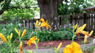 Download Lagu Accura HealthCare of Pleasantville | Virtual Tour MP3