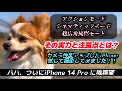 【iPhone 14 Pro 】アクションモード・シネマティックモード・超広角撮影の実力と注意点とは？14 Proで大幅にカメラ性能がアップしたらしいので撮影してみました！