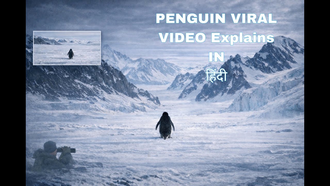 The real story behind the viral penguin video in Hindi | 2007 Antarctica documentary explained