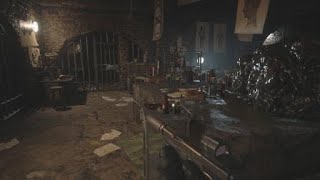 Celebrity Resident Evil Village: Miranda's Files on Eveline and Spencer Wealth
