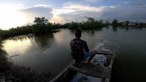 cáu cá chẽm Cà Mau