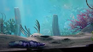 Digital Aquarium / What Life was Like 500 MIllion Years Ago