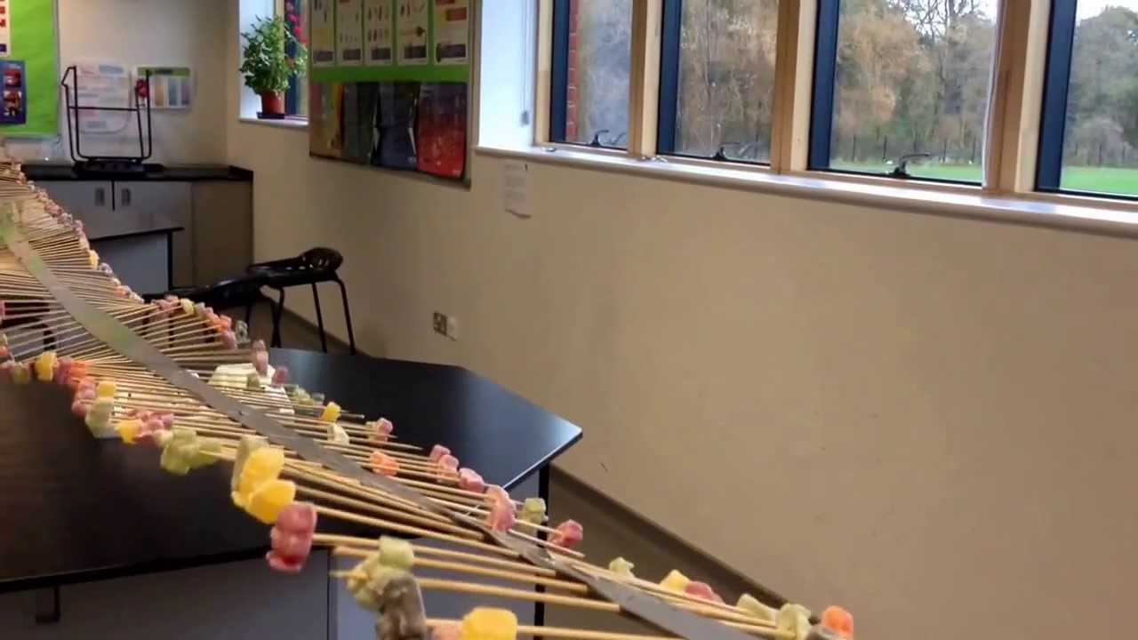 Jelly Baby Wave Machine at Midhurst Rother College