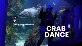 Finding Joy In Aquariums With A Marine Biologist