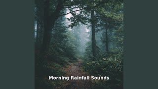 Morning Rainfall Flow, Pt.11
