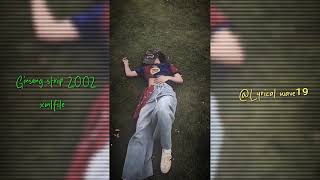 Ginseng strip 2002 tiktok xmlfile alightmotion 