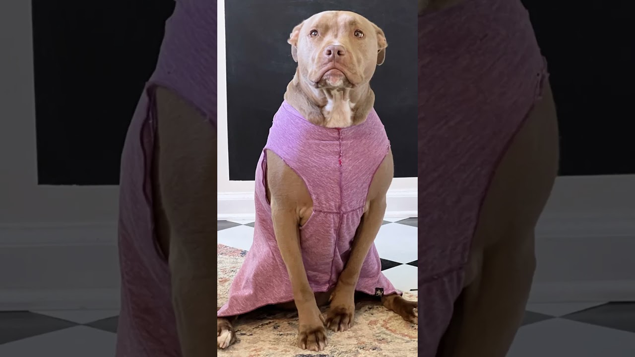 Hey Dad, I borked at that evil 