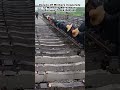 Dozens Of Workers Cooperate To Manually Move Heavy Railway Track Section