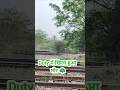 खिला हुआ मोर 🦚 || #video #shortsviral #trainmanager #indianrailways