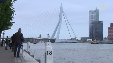 De Harmony of the Seas vaart Rotterdam binnen