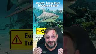 Segundo ataque de tubarão em recife agora! Biólogos alertam: não entre na água, ataques em série