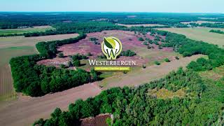 Westerbergen Ontdek Het Gezelligste Vakantiepark Van Drenthe
