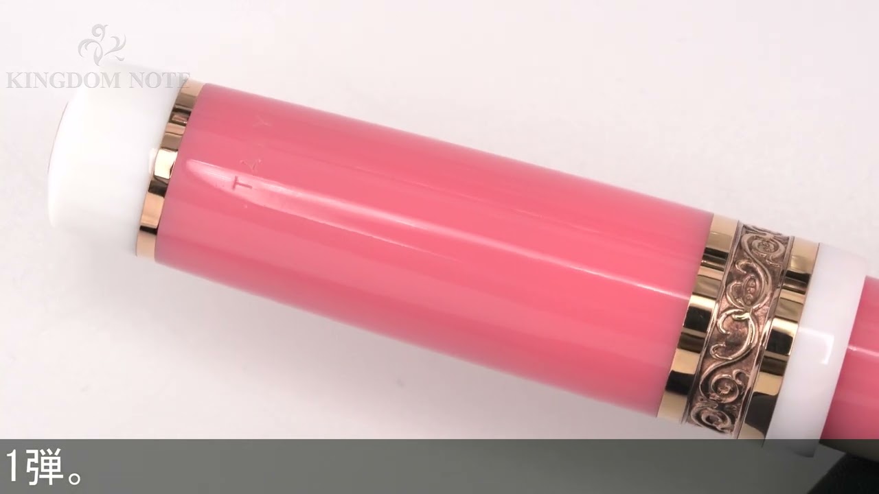 Leonardo Officina Italiana レオナルド 万年筆 日本限定コレクション