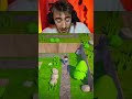 Semplicemente un gioco con gli alberi...