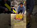 ژاپنی ها موز پخته شده میخورن ژاپنی ها موز پخته شده میخورن