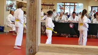 Kaufmanns Karate