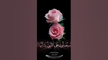صباح الخير🌺 حالات واتس اب مقاطع قصيره🌺قران كريم ان الله وملائكته يصلون على النبي🌺 العفاسي بدون حقوق