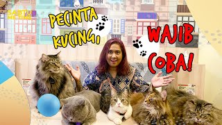 Gini Rasanya Ngopi Ditemenin Kucing | Sabtu Me Time (02/04/22)