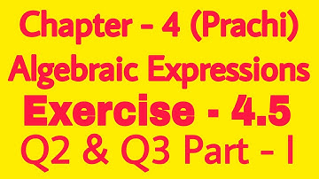 Class - 8th (Prachi) || Chapter - 4 Algebraic Expressions || Exercise - 4.5 Q2 & Q3 Part 1