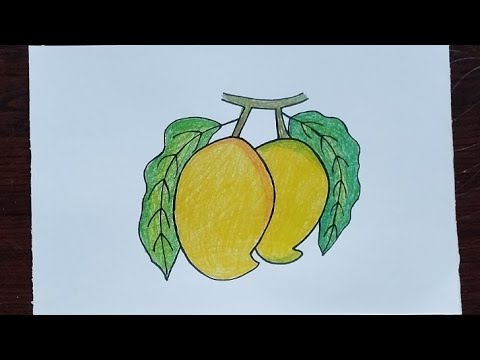 How To Draw Mango Step By Step ll Mango Drawing ll Mango Drawing Colour