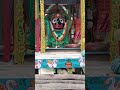 Rath Yatra Status ||Odia Jagannath Bhajan Status Full Screen ||Jagannath Status||#shorts#rathyatra