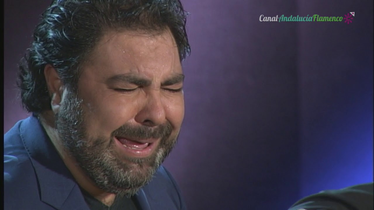 Soleá apolá. Antonio Campos. 2018