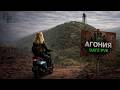 DAYZ | Проект АГОНИЯ PVE: Знакомство с группировками... #5 #dayzpve #dayz #дейзпве