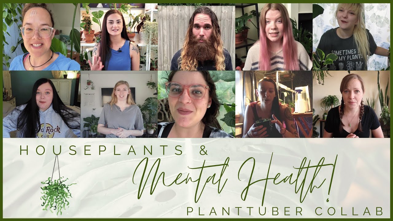Houseplants & Mental Health Collaboration How Have Houseplants Helped