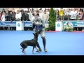 10 Dog Show "Eurasia  2012 / Russia / Moscow". Freestyle.