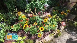 Amazing gardens and landscapes for your home by Sunshine Garden Design