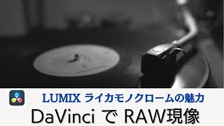 【DaVinci Resolve RAW現像入門】LUMIX S5IIX ライカモノクロームの魅力 @_asagimadara