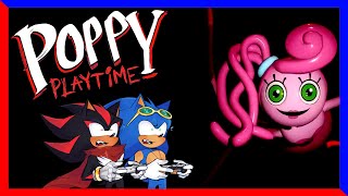 SHADOW FINDS HIS MOMMY!?