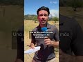 Los incendios de Madrid se fusionan: “El viento es la principal preocupación” #shorts