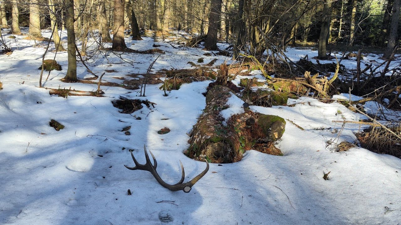 Zrzuty 2026,💪💪 jest Petarda 💪💪 piękna tyczunia 3kg
