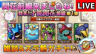【DQタクト】才能開花前線について雑談&スラ熱ガチャ引きますー！【#ドラクエタクト/#DQTact/#ドラゴンクエストタクト】