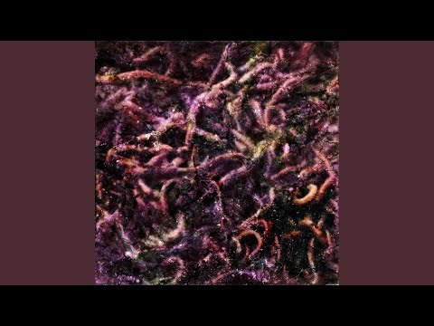 Watch mantis on YouTube Watch mantis on YouTube