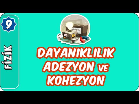 Dayanıklılık Adezyon ve Kohezyon Kuvvet | 9. Sınıf Fizik