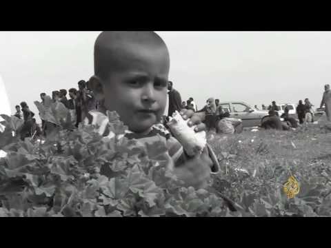 نشرة الثامنة التفاعلية - نشرتكم (2017/4/24)