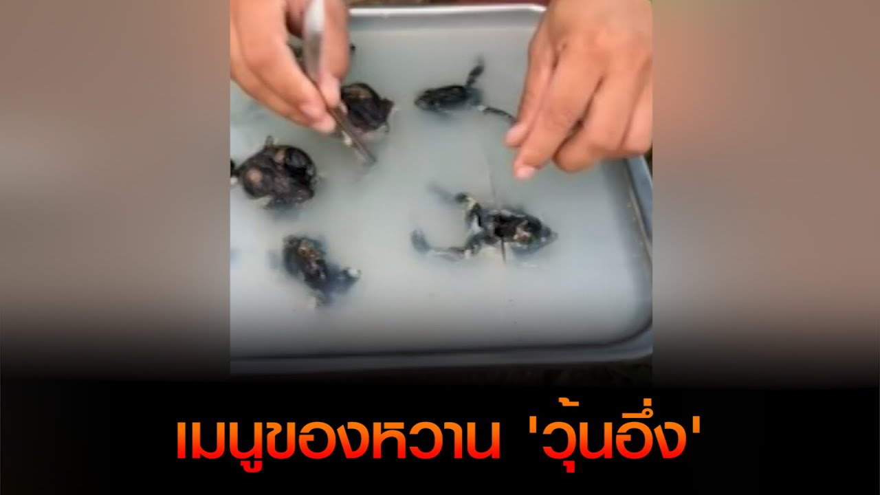 เมนูของหวาน 'วุ้นอึ่ง'