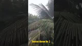 Filipinlerde Hava Durumu?