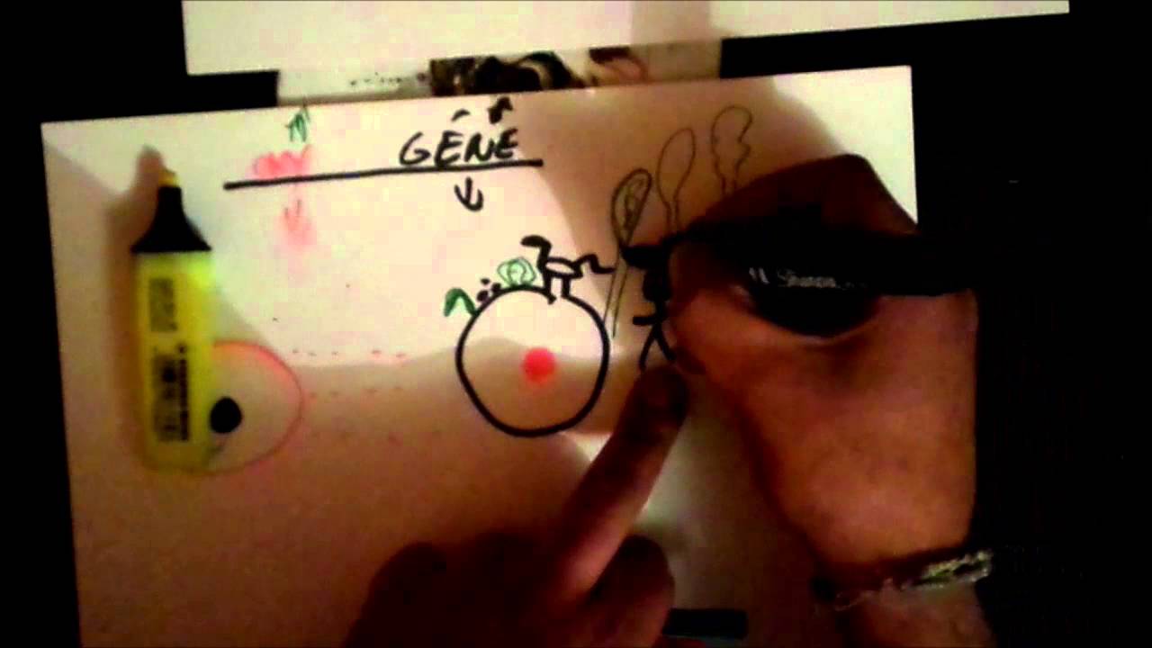 Le pouvoir de la Terre sur l'inconscient: 2/4 - YouTube