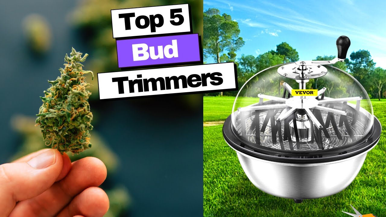 Best Bud Trimmers 2023 YouTube