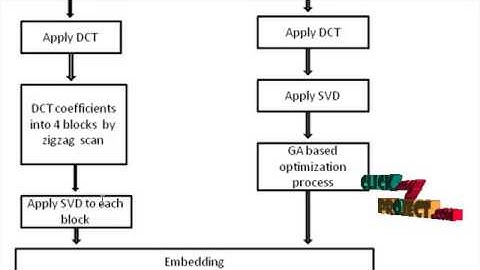 Final Year Projects| An Information-Preserving Watermarking Scheme