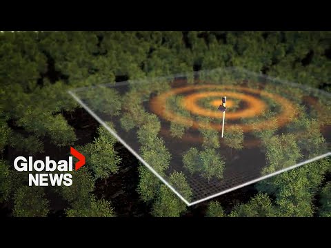 Canada wildfires: How AI-powered sensors are shaping the future of firefighting