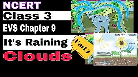 NCERT Class 3 EVS Chapter 9 - Its raining || Parts 2 || Clouds