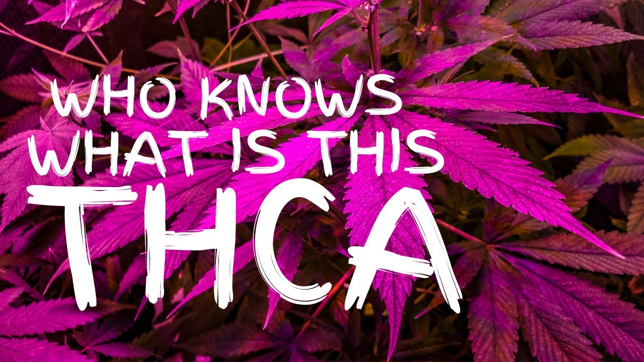 "THCA" The High You Never Knew!! Educational Video.