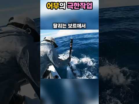 "1초만 틀어져도 창에 찔린다!" 170kg 청새치 주둥이 잡고 몽둥이 세례 퍼붓는 어부의 목숨 건 사투! #야생동물 #animals #동물키우기 thumbnail